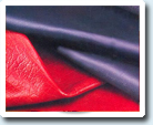 Pigment Pastes exporter